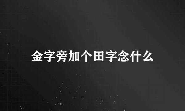 金字旁加个田字念什么