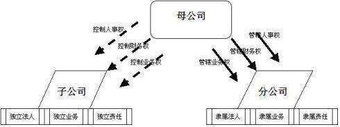 分来自公司和全资子公司的区别？