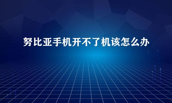 努比亚手机开不了机该怎么办