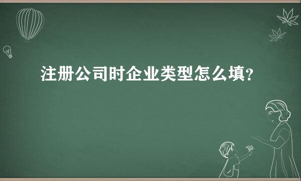 注册公司时企业类型怎么填？