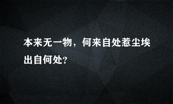 本来无一物，何来自处惹尘埃出自何处？