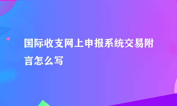 国际收支网上申报系统交易附言怎么写