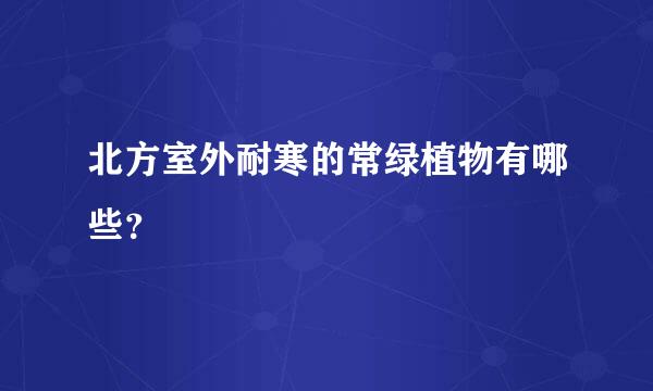 北方室外耐寒的常绿植物有哪些？