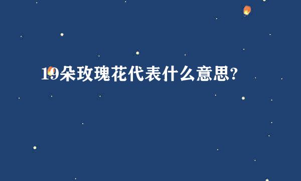 19朵玫瑰花代表什么意思?