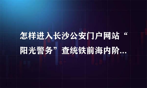 怎样进入长沙公安门户网站“阳光警务”查统铁前海内阶物印询案件系统