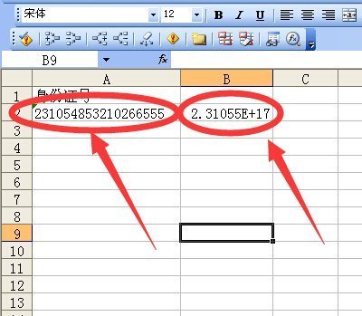 exc密海现种任el中身份证号码怎么显示出来啊？