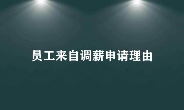 员工来自调薪申请理由