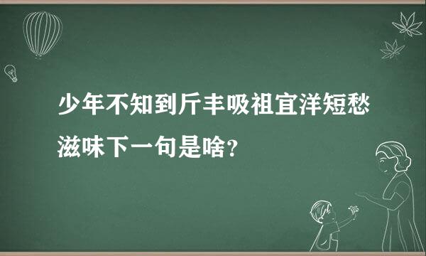 少年不知到斤丰吸祖宜洋短愁滋味下一句是啥？