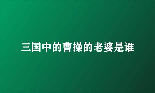 三国中的曹操的老婆是谁