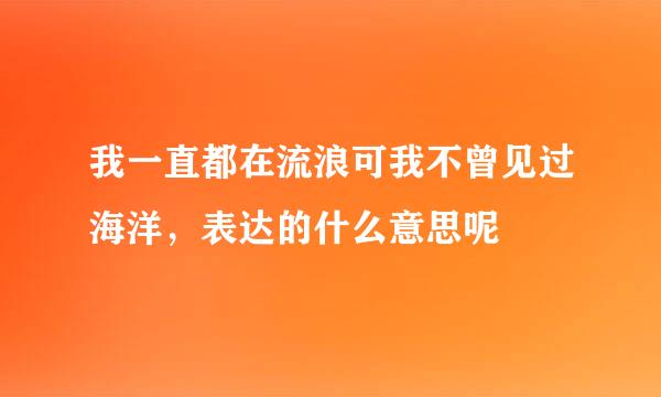 我一直都在流浪可我不曾见过海洋，表达的什么意思呢