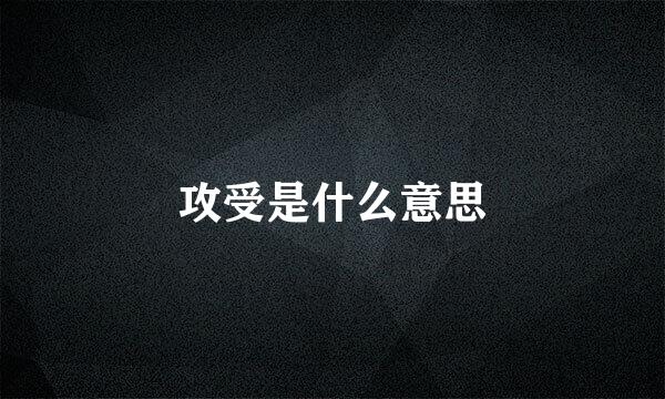 攻受是什么意思