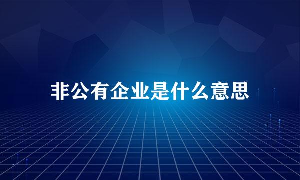 非公有企业是什么意思