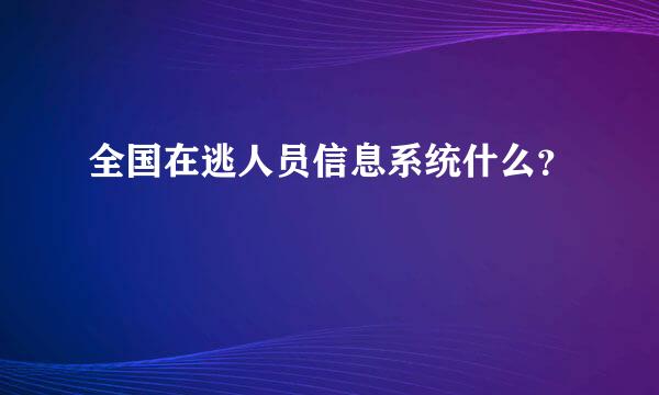 全国在逃人员信息系统什么？