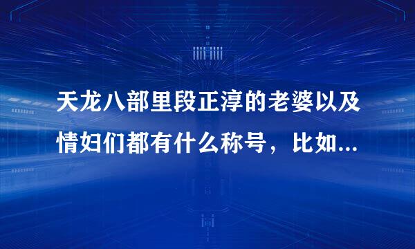 天龙八部里段正淳的老婆以及情妇们都有什么称号，比如:修罗刀秦红棉