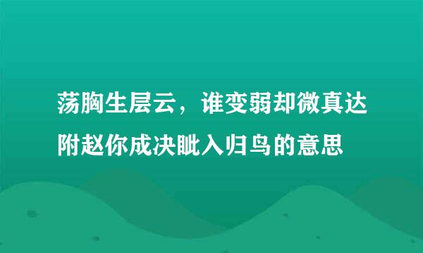 荡胸生层云，谁变弱却微真达附赵你成决眦入归鸟的意思