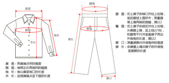 l号是多大来自尺码