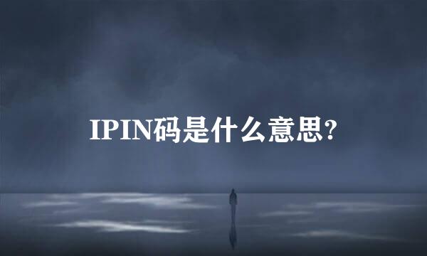 IPIN码是什么意思?