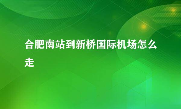 合肥南站到新桥国际机场怎么走