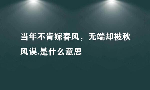 当年不肯嫁春风，无端却被秋风误.是什么意思