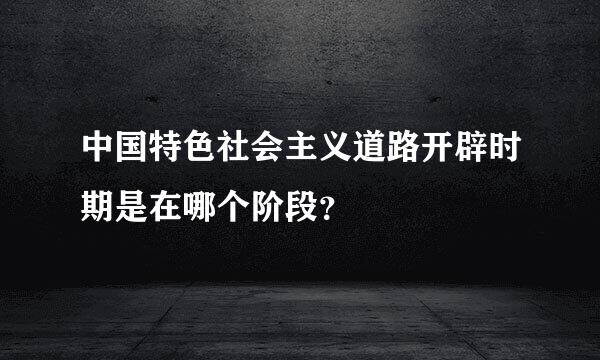 中国特色社会主义道路开辟时期是在哪个阶段？