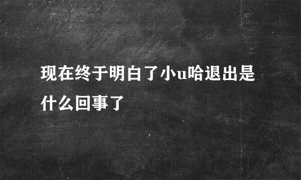 现在终于明白了小u哈退出是什么回事了