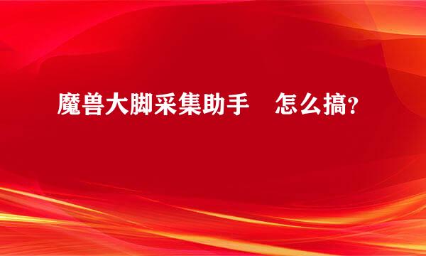 魔兽大脚采集助手 怎么搞？