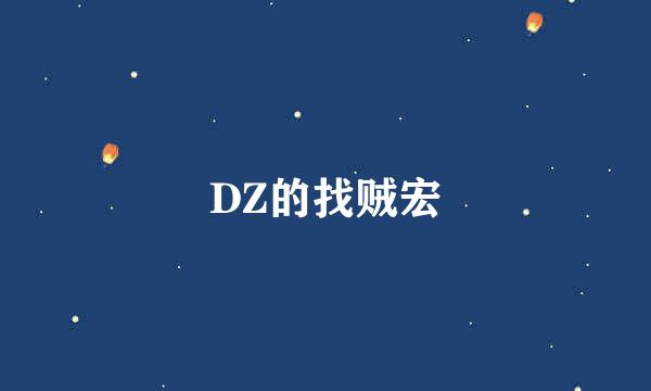 DZ的找贼宏