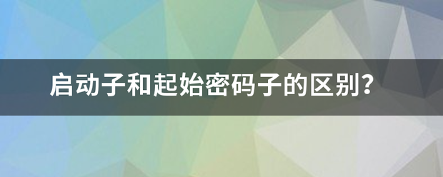 启动子方甲向对存农和起始密码子的区别？