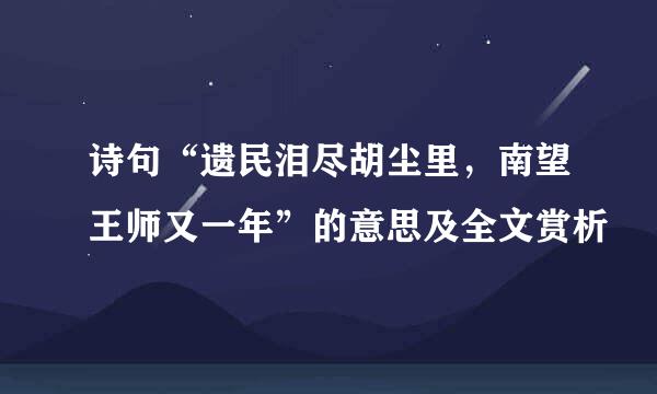 诗句“遗民泪尽胡尘里，南望王师又一年”的意思及全文赏析