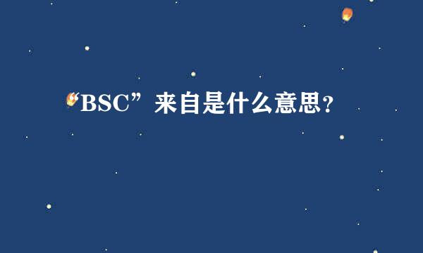 “BSC”来自是什么意思？