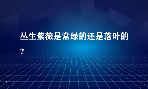 丛生紫薇是常绿的还是落叶的？