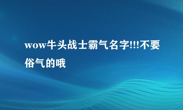 wow牛头战士霸气名字!!!不要俗气的哦