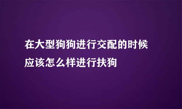 在大型狗狗进行交配的时候 应该怎么样进行扶狗