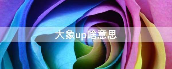 大象up啥意思