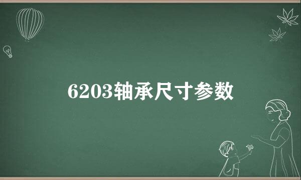 6203轴承尺寸参数