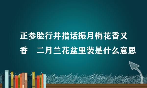 正参脸行井措话振月梅花香又香 二月兰花盆里装是什么意思