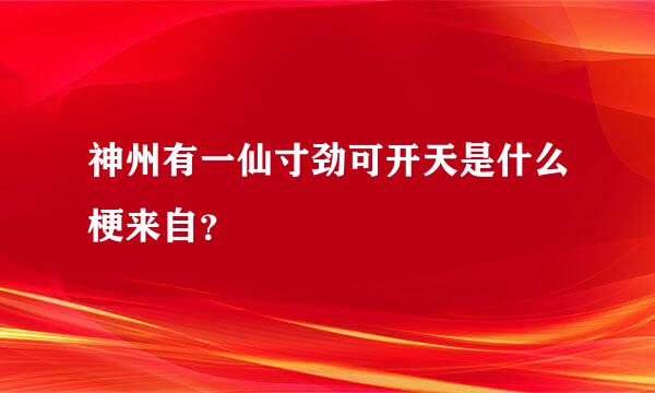 神州有一仙寸劲可开天是什么梗来自？