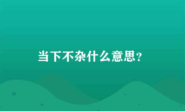 当下不杂什么意思？