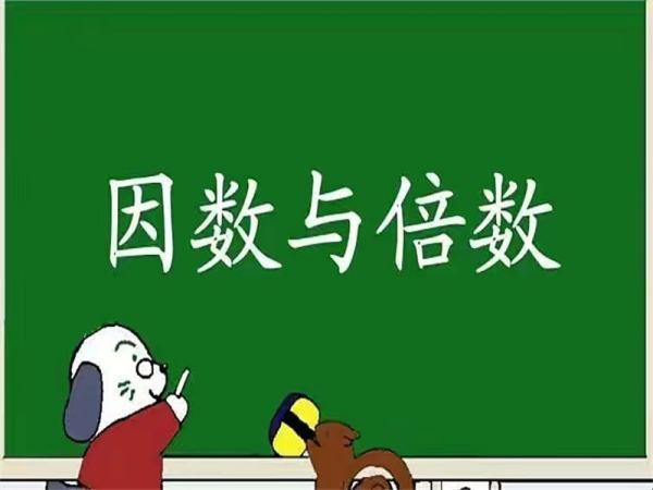 因数的概念