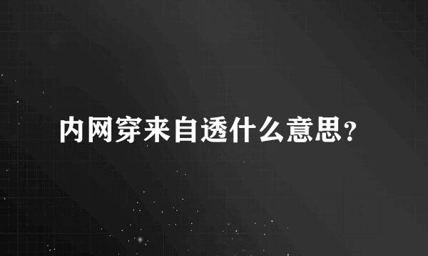 内网穿来自透什么意思？