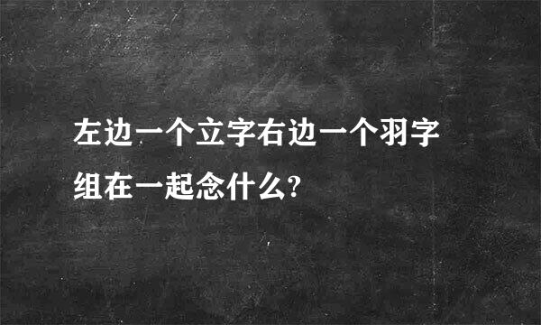 左边一个立字右边一个羽字 组在一起念什么?