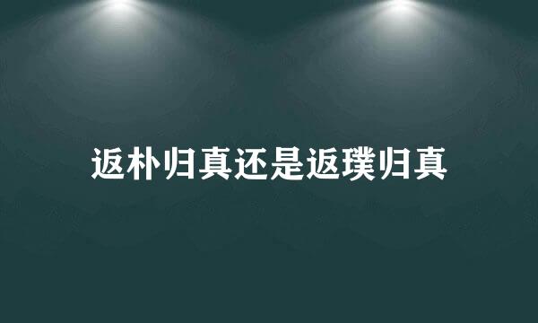 返朴归真还是返璞归真