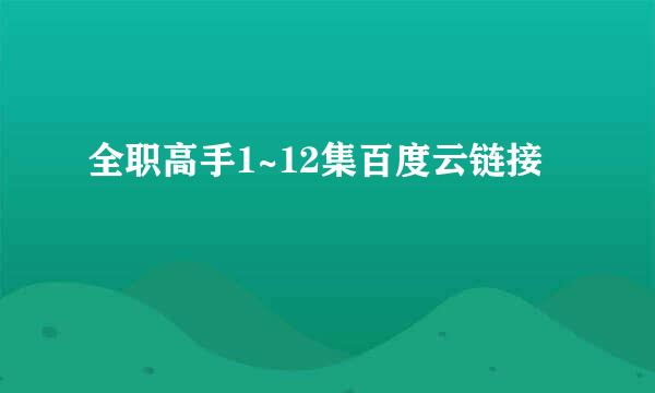 全职高手1~12集百度云链接