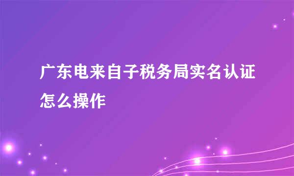 广东电来自子税务局实名认证怎么操作