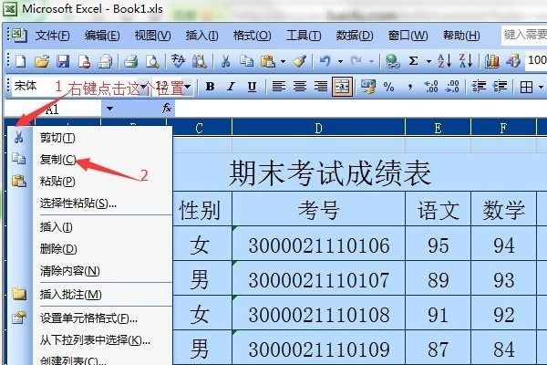 excel表格为什么不能复制到另一个表格