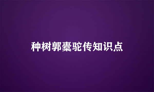 种树郭橐驼传知识点