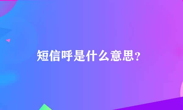 短信呼是什么意思？