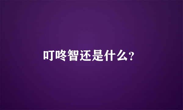 叮咚智还是什么？