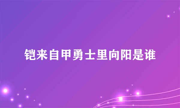 铠来自甲勇士里向阳是谁