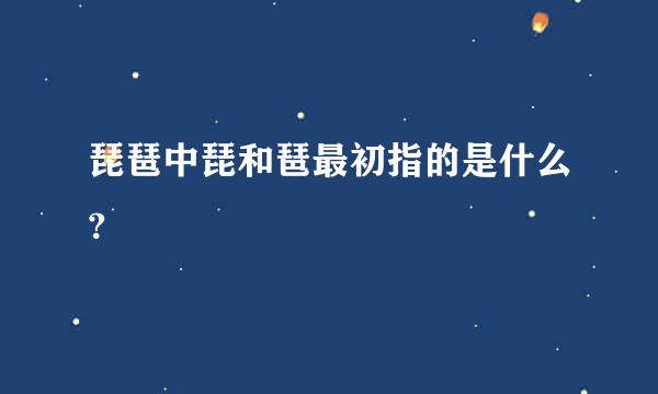 琵琶中琵和琶最初指的是什么?